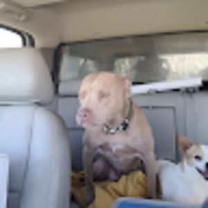 Meet your Posher, Seth